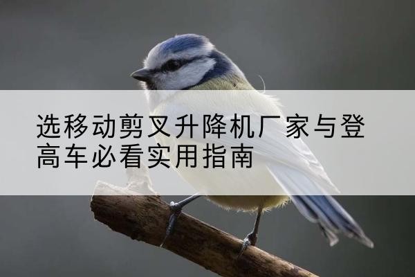 奉化电动升降机厂家-选移动剪叉升降机厂家与登高车必看实用指南