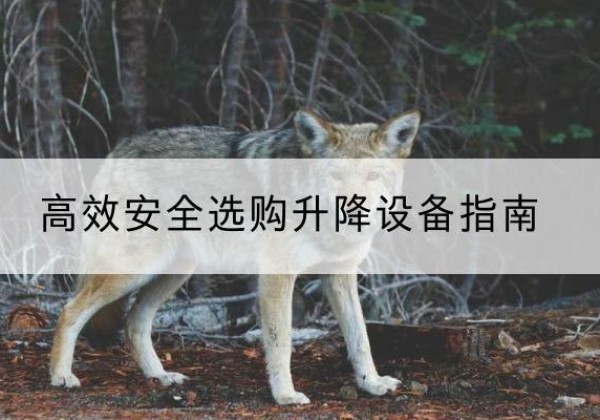 奉化升降货梯厂家推荐-*安全选购升降设备指南